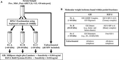 Growth Hormone and Insulin-like Growth Factor-I Molecular Weight Isoform Responses to Resistance Exercise Are Sex-Dependent